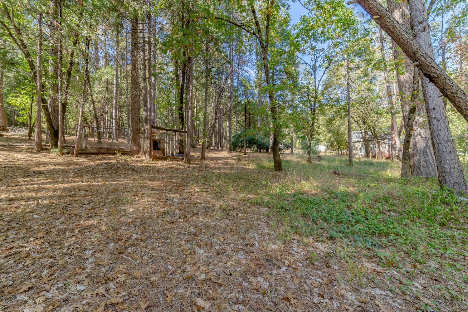 9598 Wright Lane
