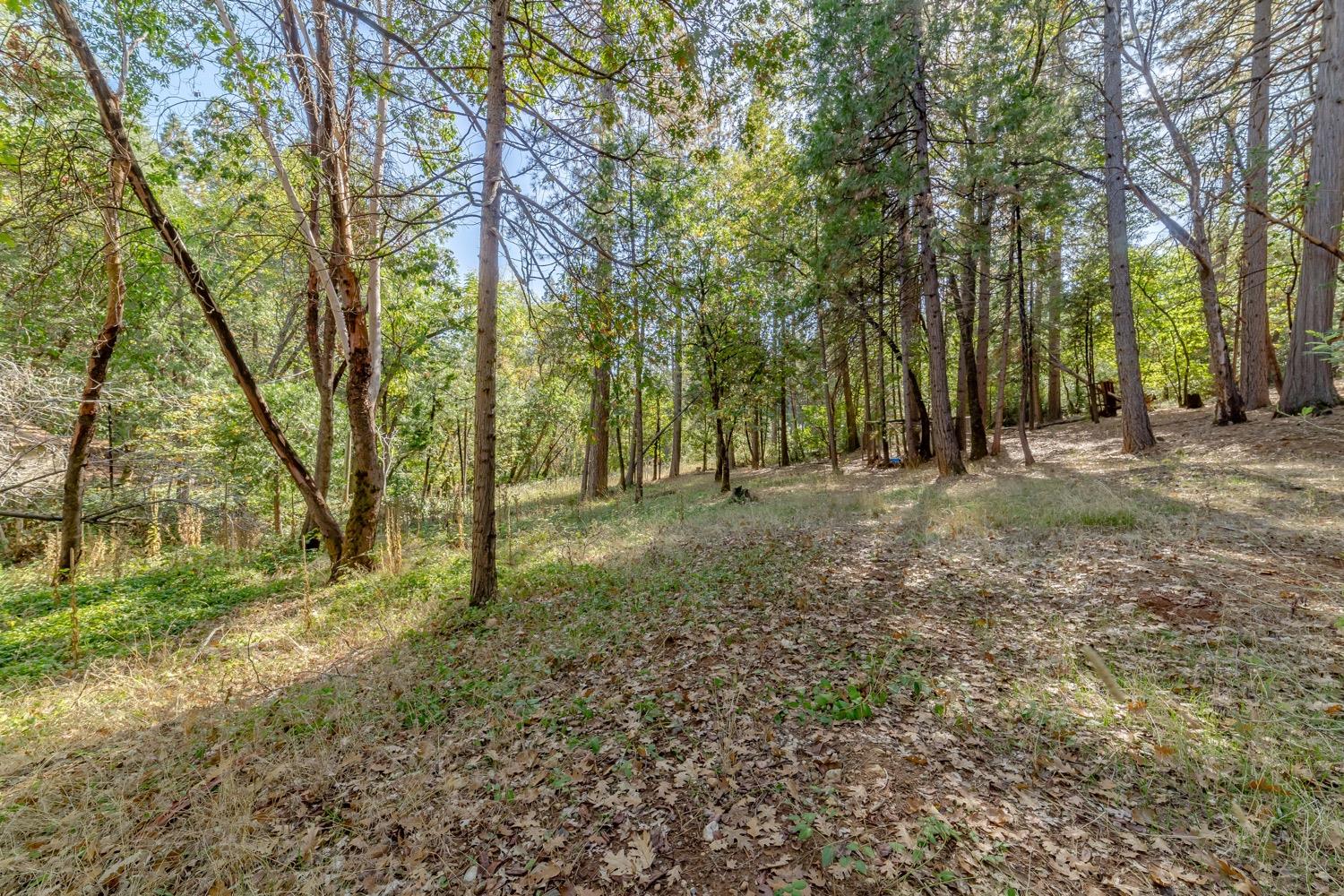 9598 Wright Lane