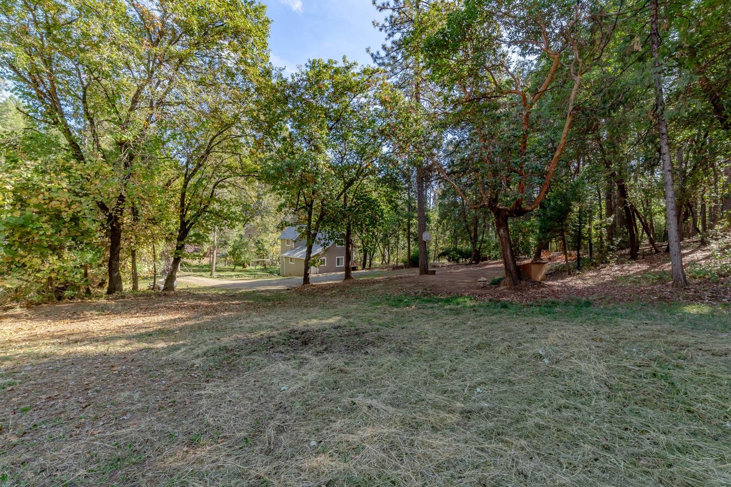 9598 Wright Lane