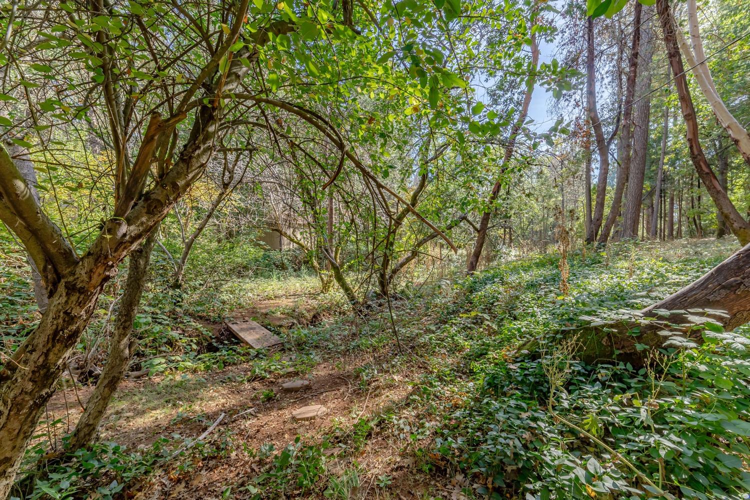 9598 Wright Lane