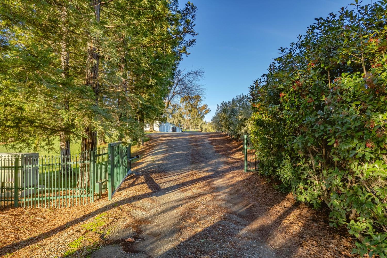 9798 Miller Lane