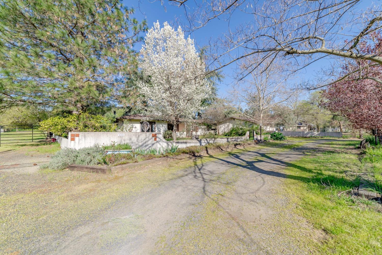 5285 Miners Ranch Road