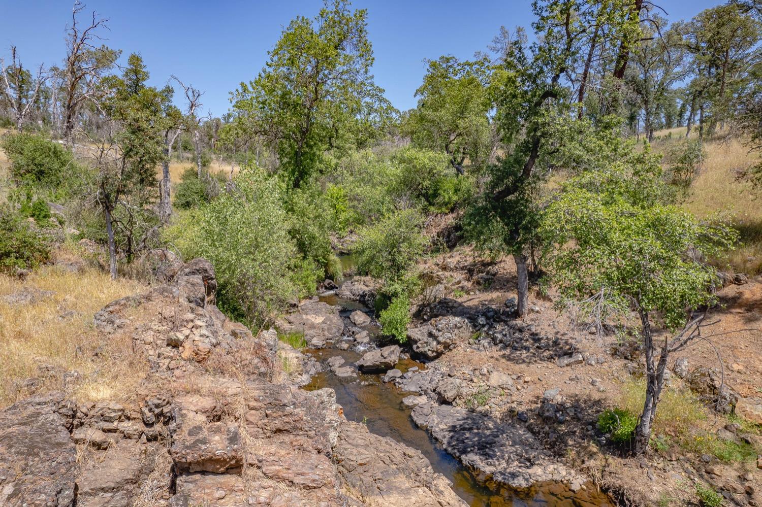 12992 Lone Tree Way
