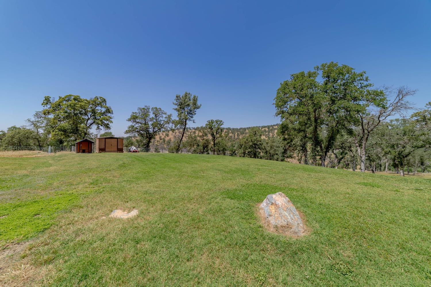 12992 Lone Tree Way