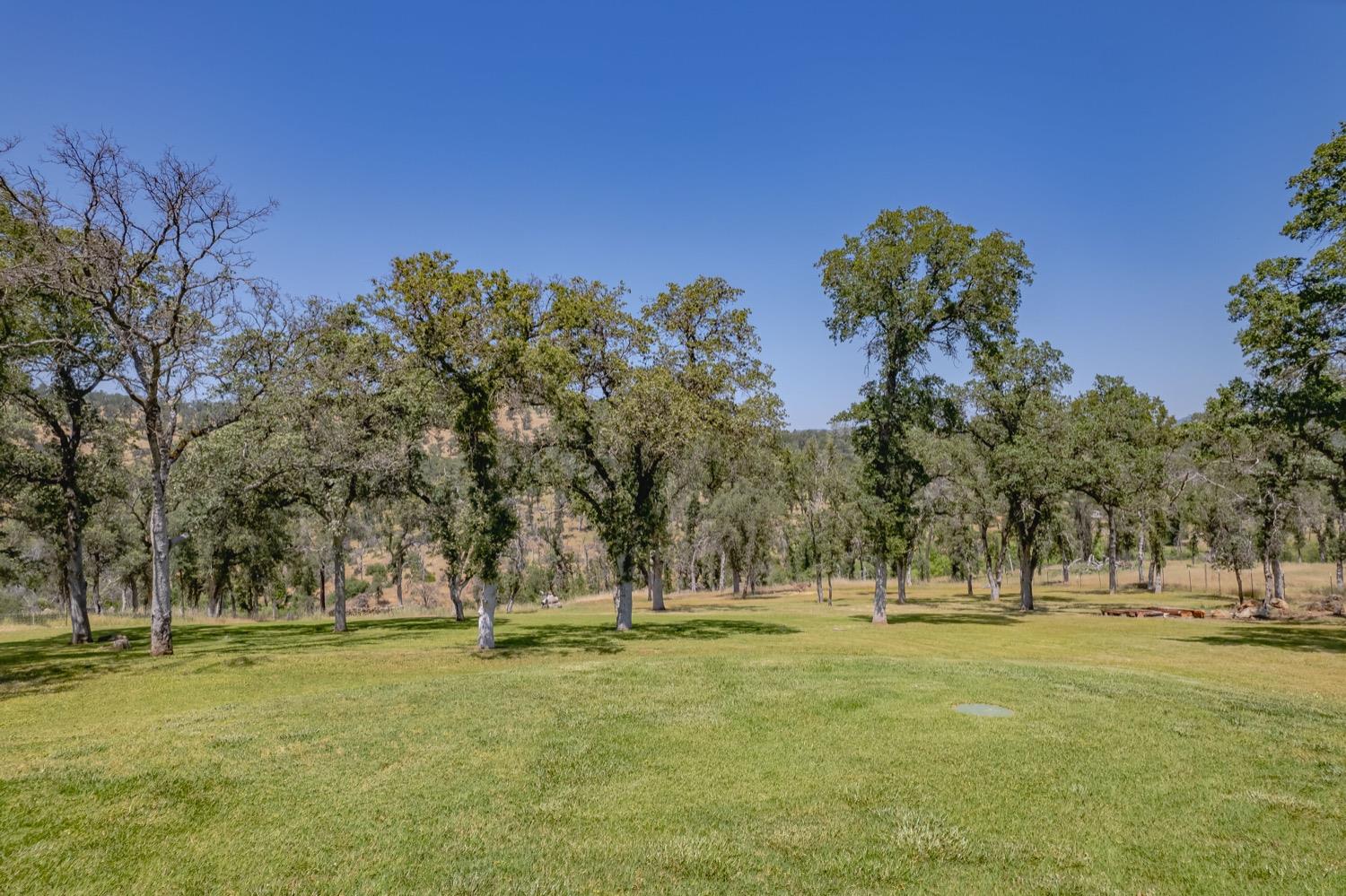 12992 Lone Tree Way