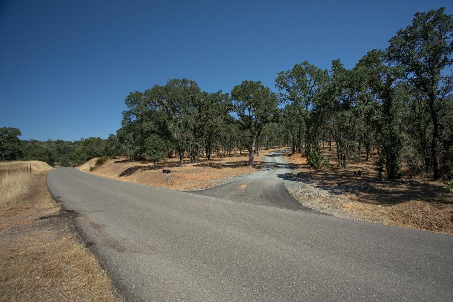 Paved road and gravel driveway winding through dry oak woodland.