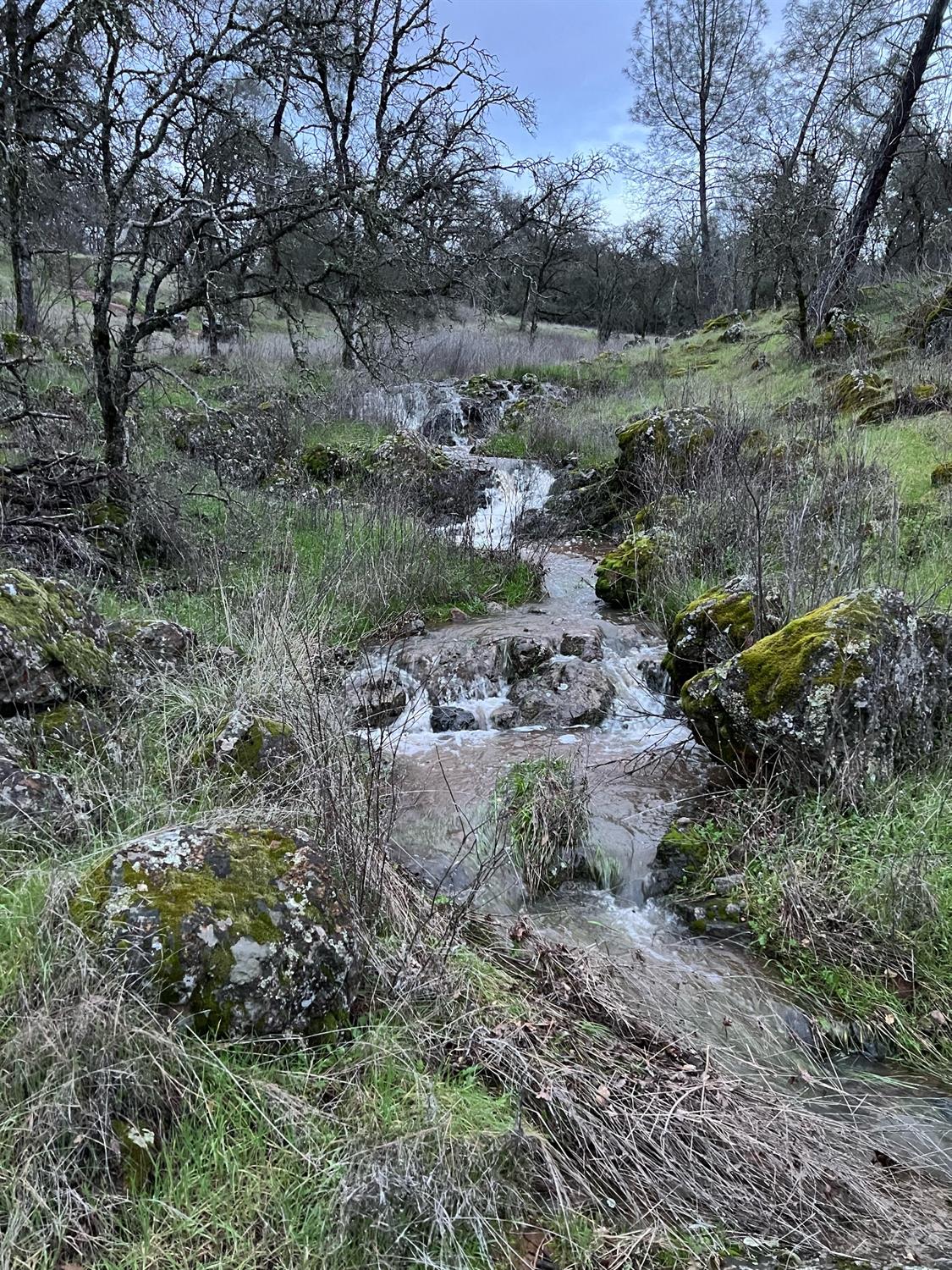 Rocky creek winding through a grassy landscape beneath leafless trees.