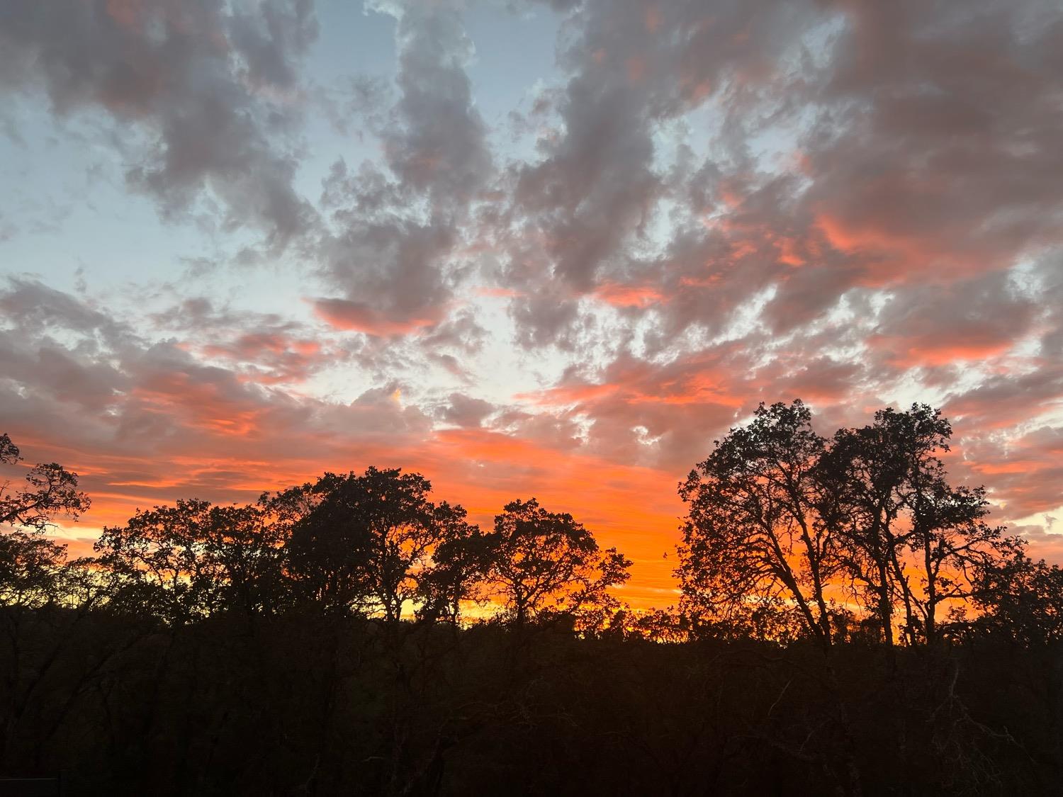 Sunset glows orange and pink behind silhouetted trees on a wooded landscape.