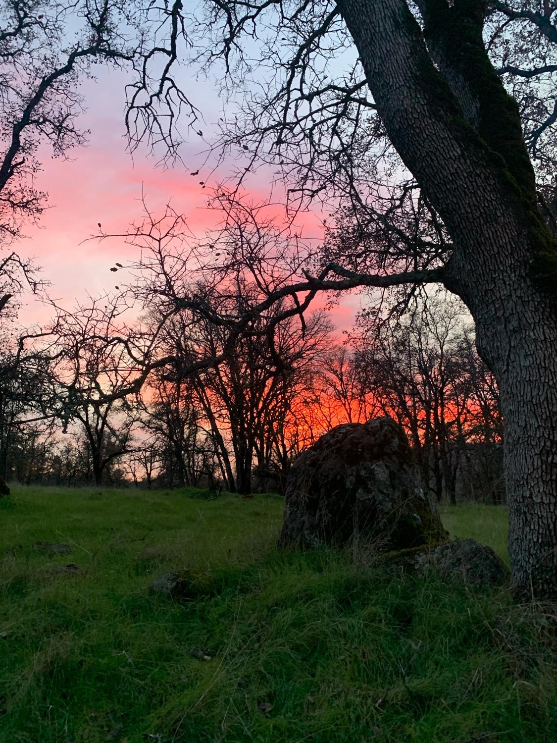 Rural grounds with boulders and leafless trees silhouetted against a vivid sunset.