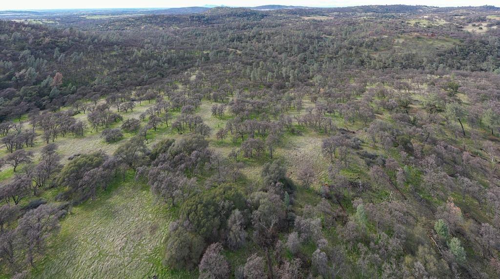 Rolling rural acreage with grassy clearings, scattered trees, and wooded hills in the distance.
