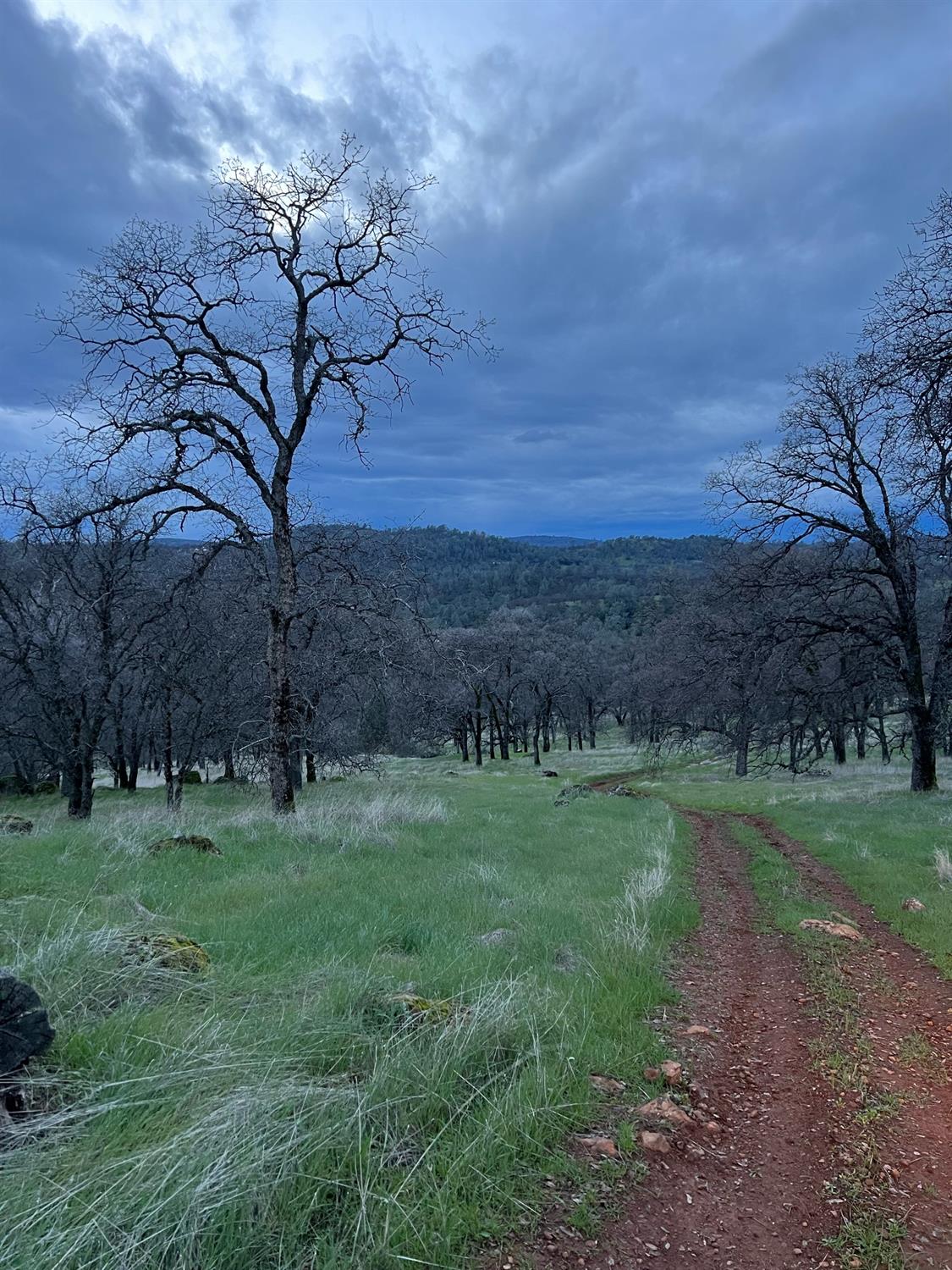 Grassy rural acreage with a winding dirt track, leafless trees, and wooded hills beneath a cloudy sky.