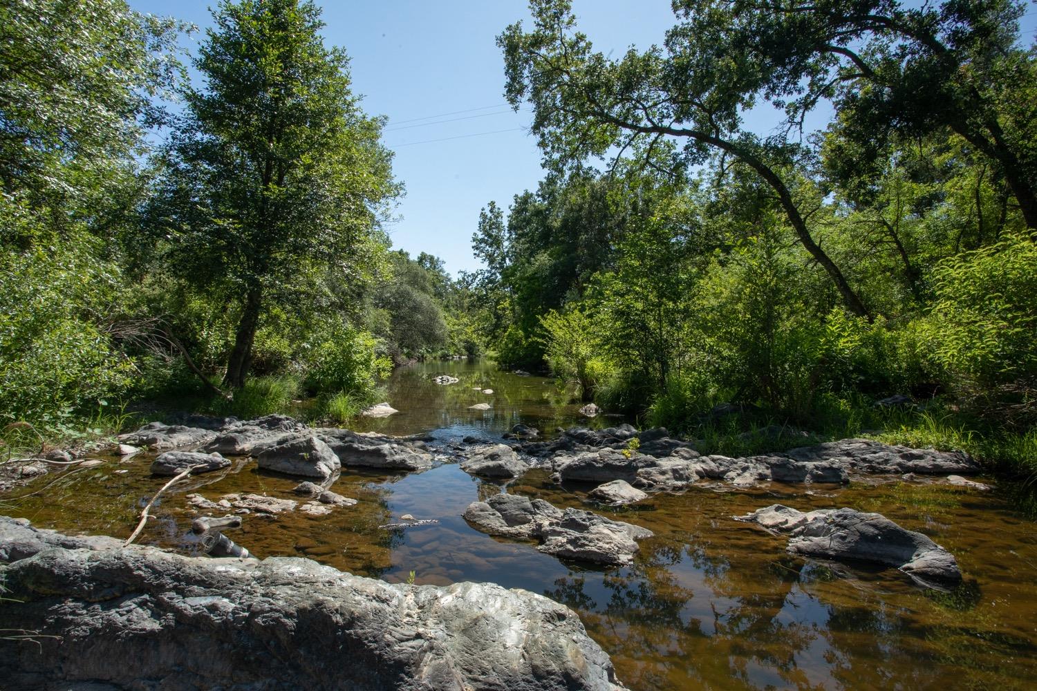 Rocky creek flowing through a leafy, shaded woodland.