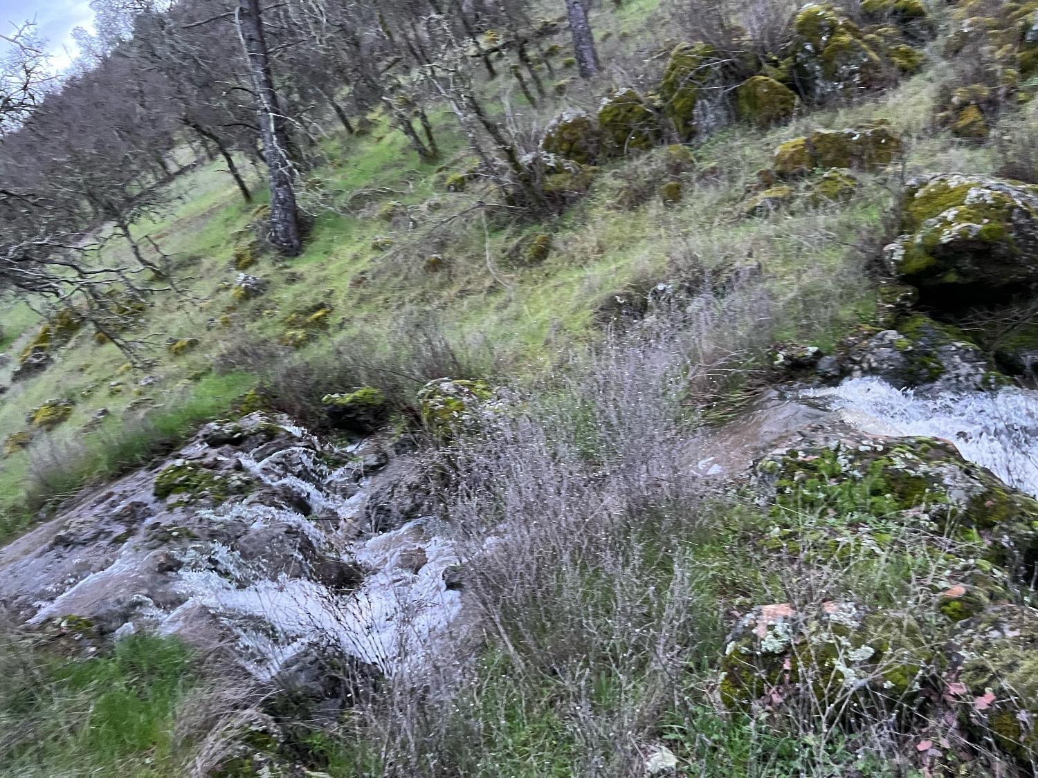 Rocky creek flowing through a wooded hillside with moss-covered rocks and leafless trees.