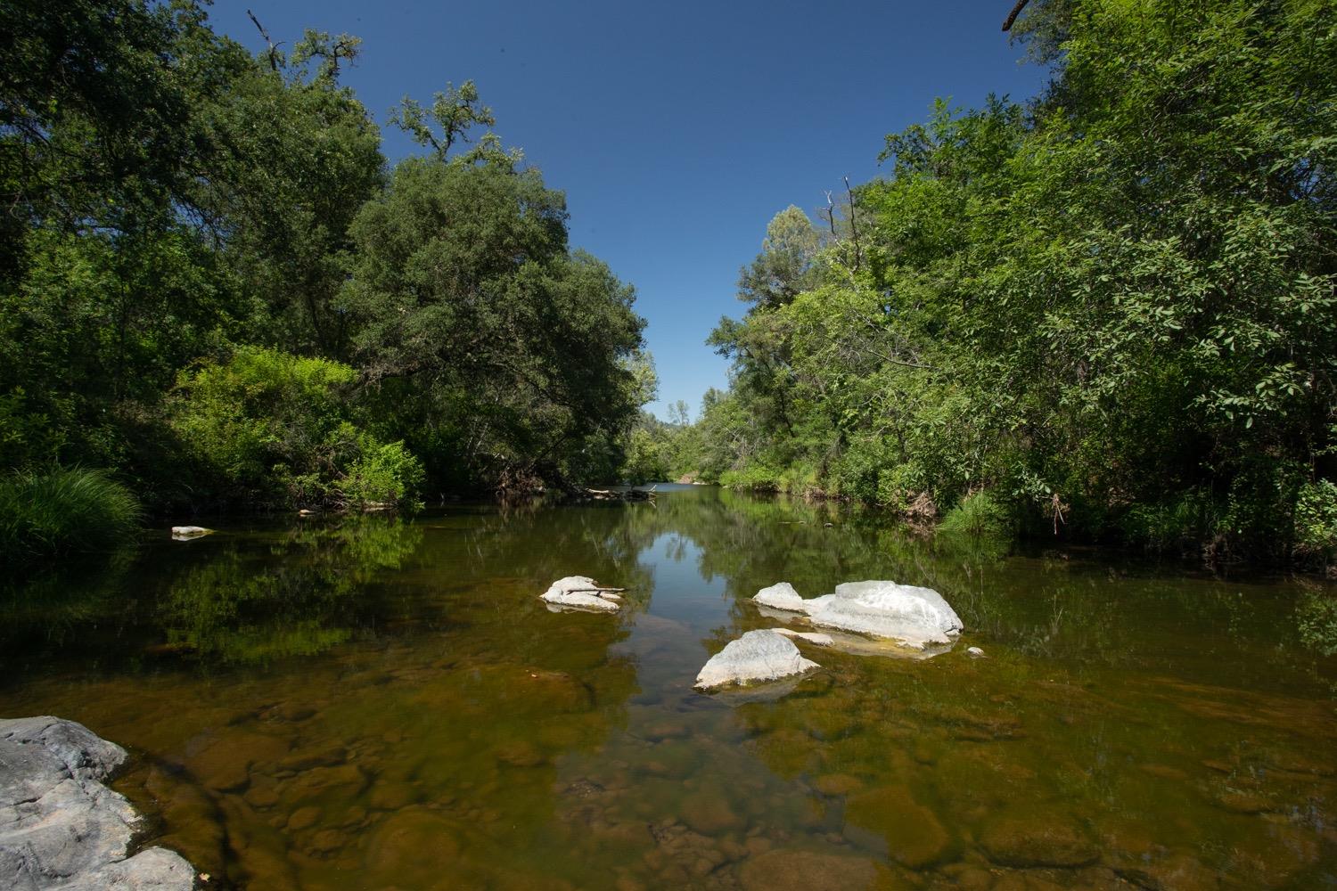 Wooded creek with pale rocks in the shallow water.