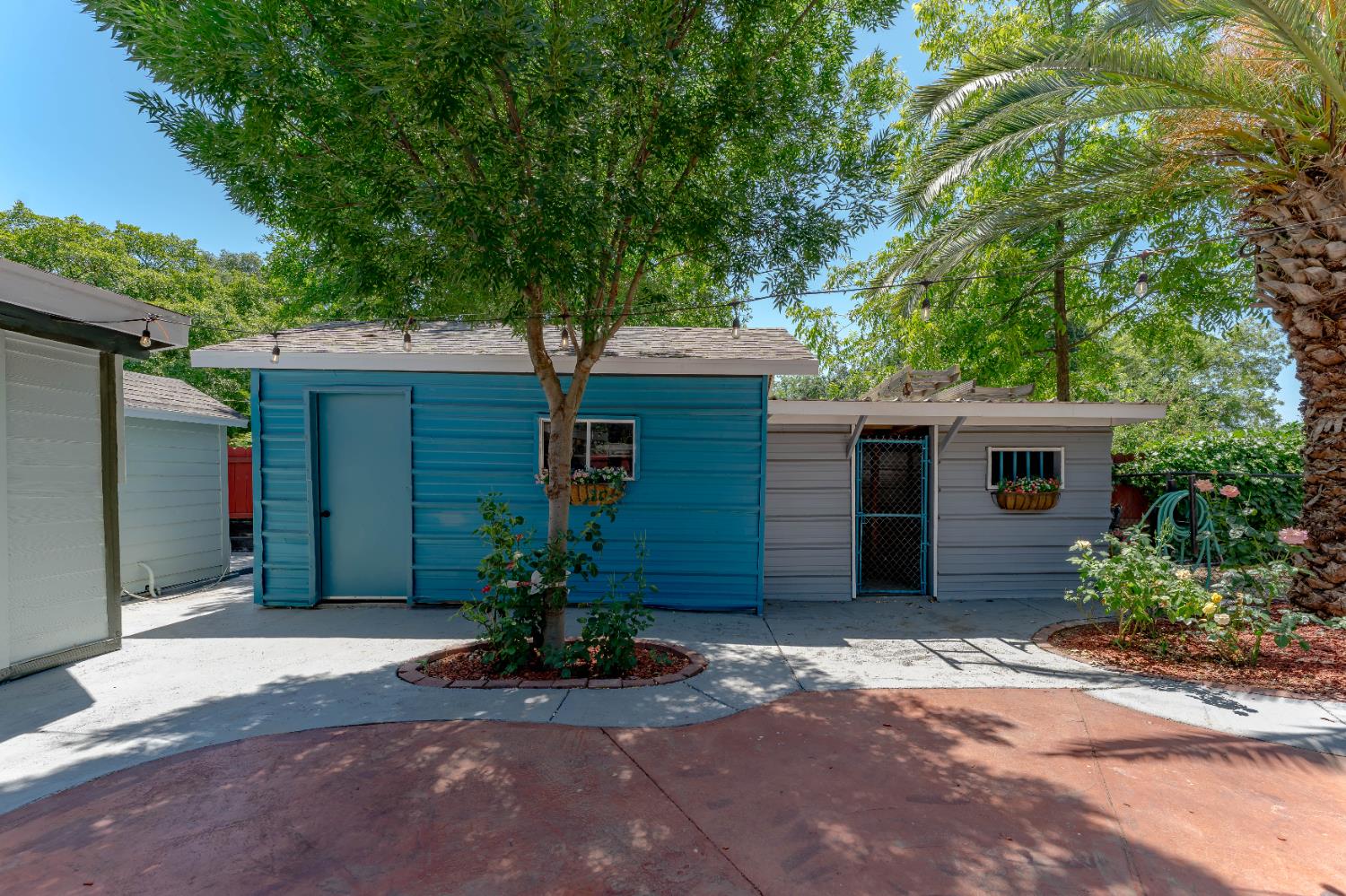 1809 W Biggs Road