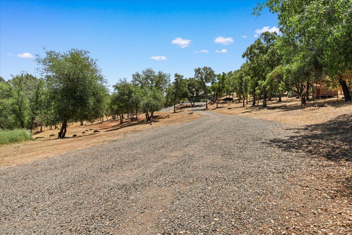 11293 Shadow Lane