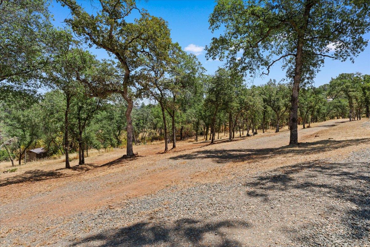 11293 Shadow Lane