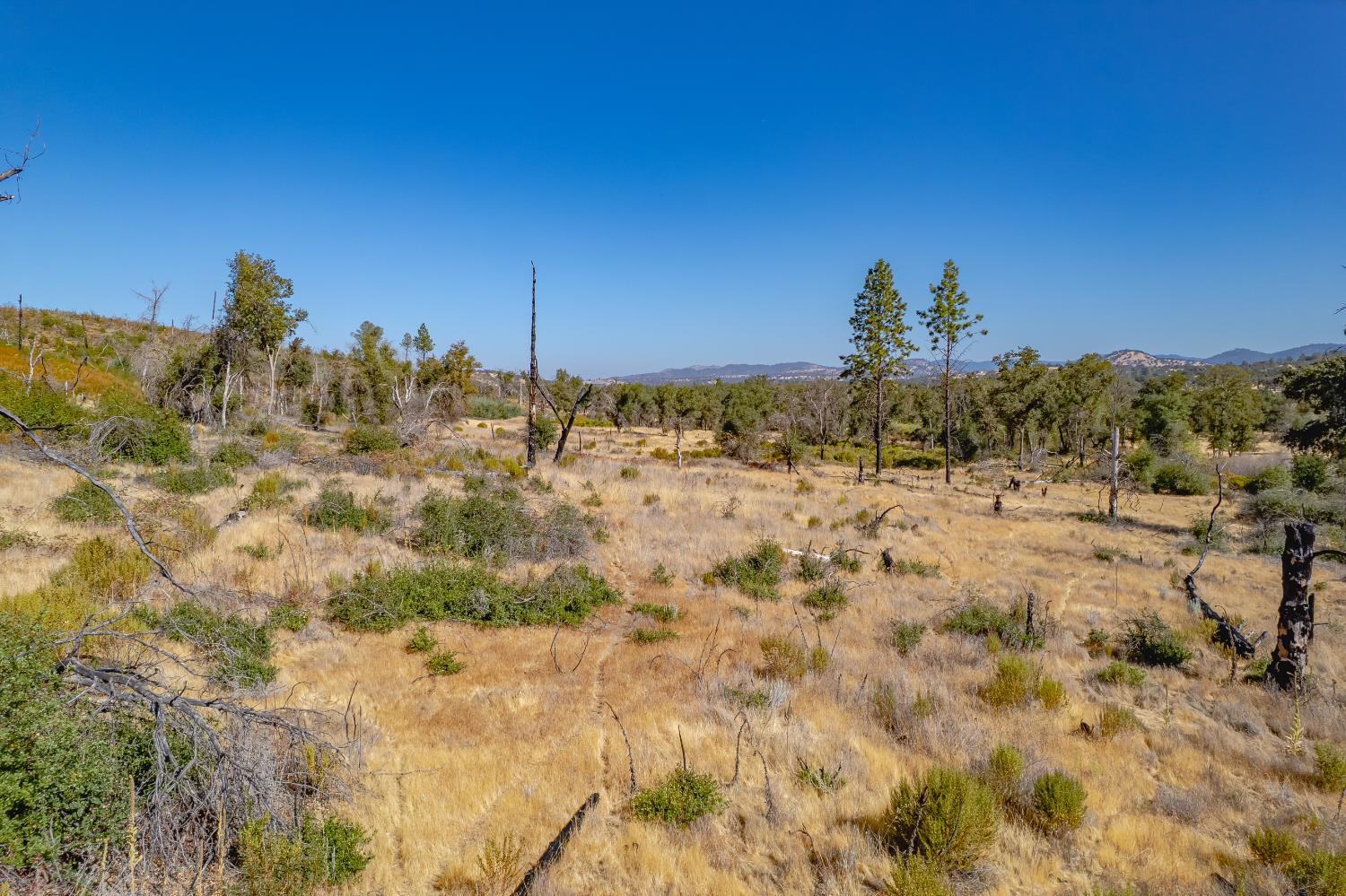 11923 Loma Rica Road