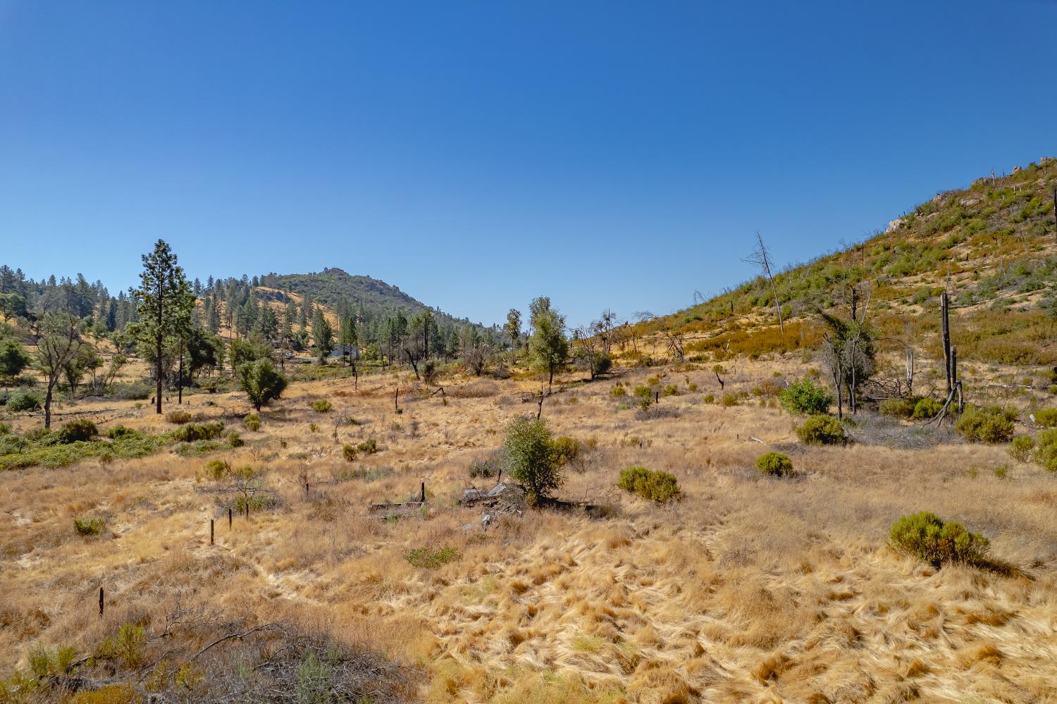 11923 Loma Rica Road