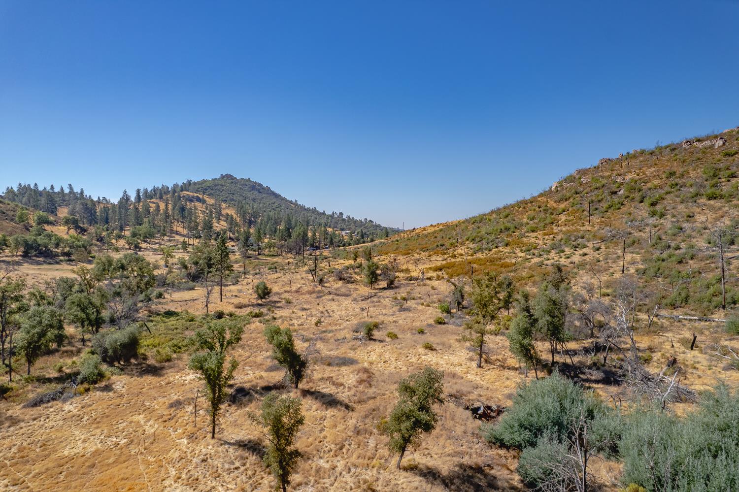 11923 Loma Rica Road