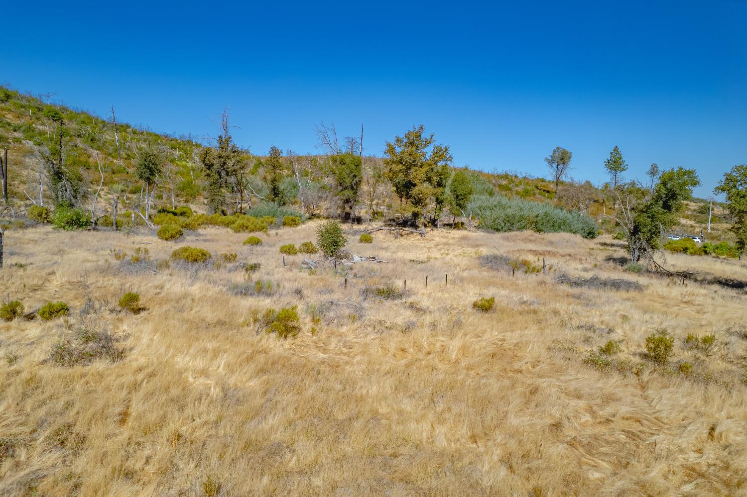 11923 Loma Rica Road