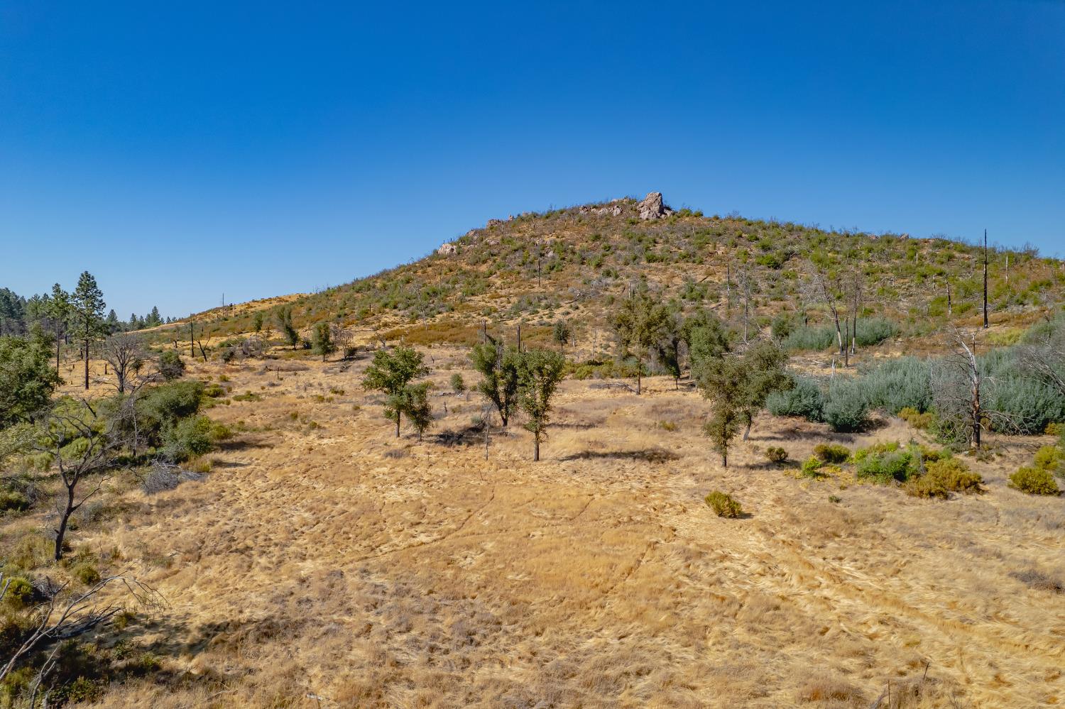 11923 Loma Rica Road