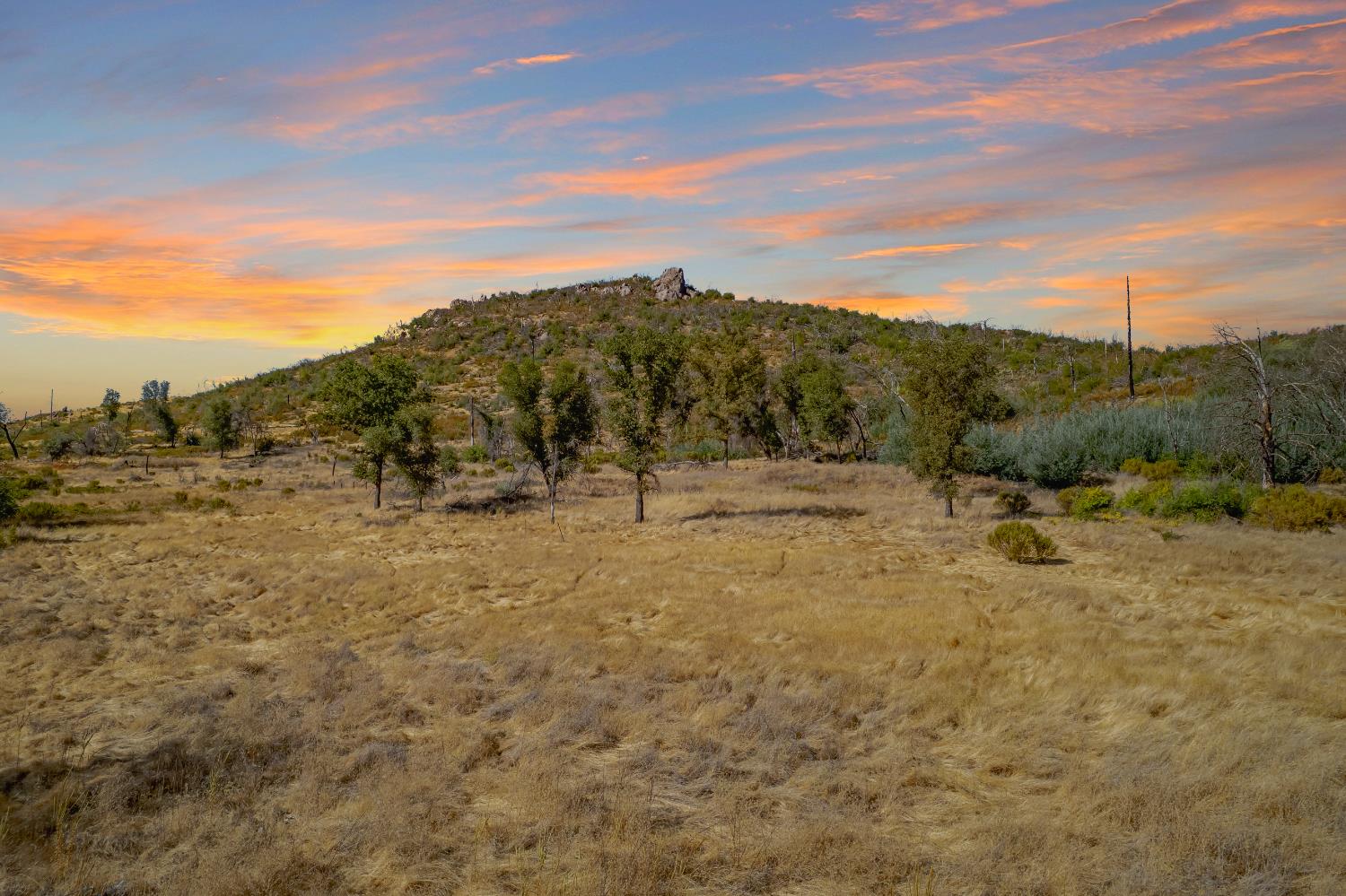 11923 Loma Rica Road