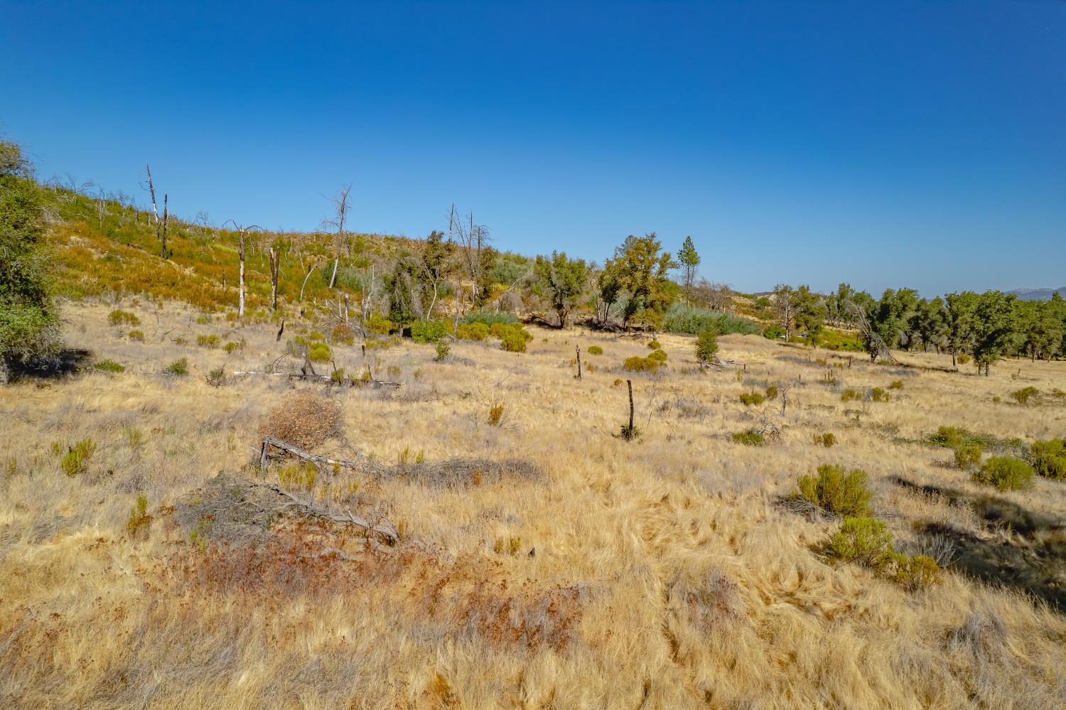 11923 Loma Rica Road