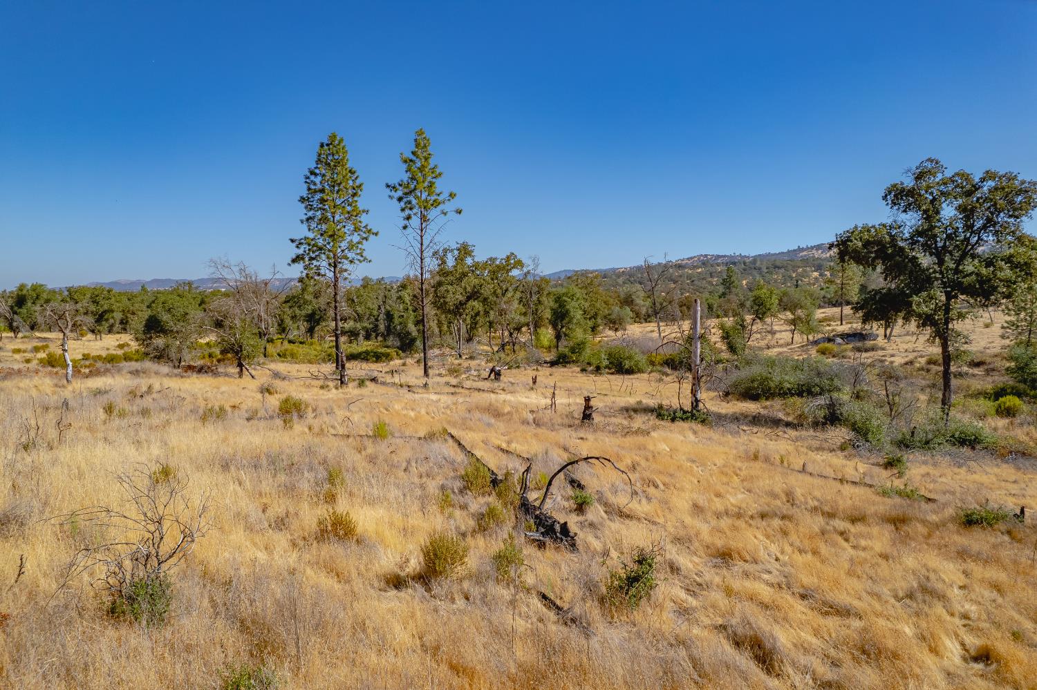 11923 Loma Rica Road