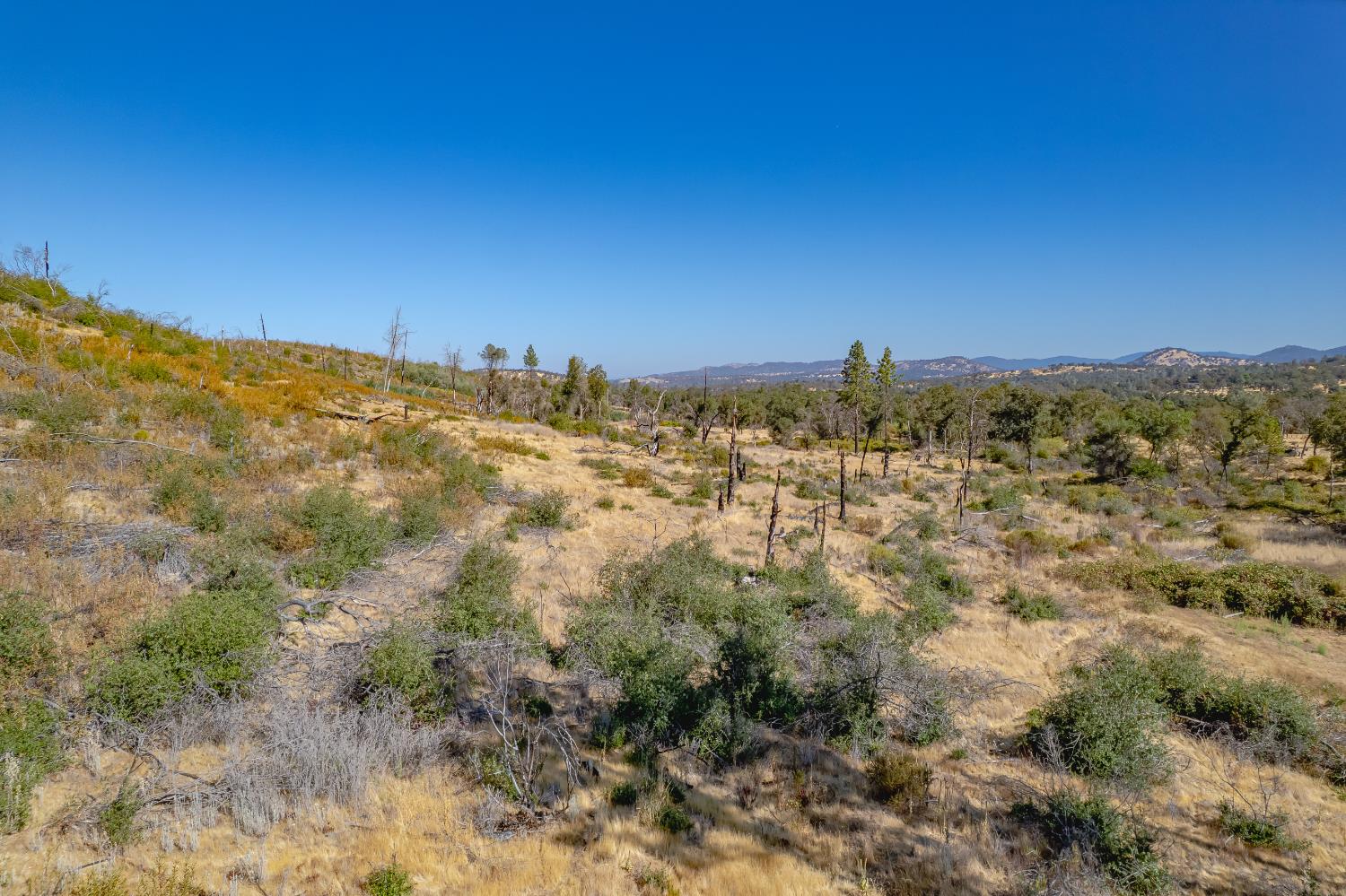 11923 Loma Rica Road