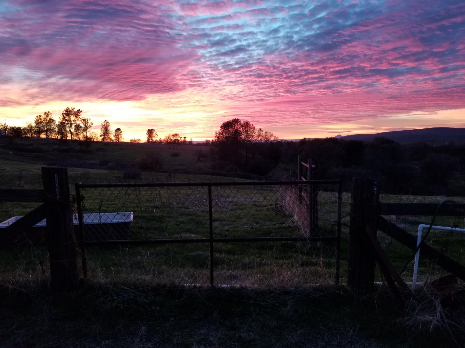 6487 State Highway 20