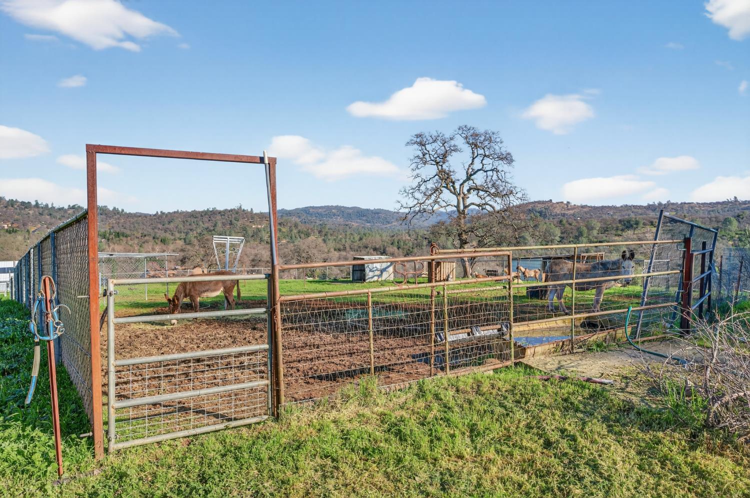 6487 State Highway 20