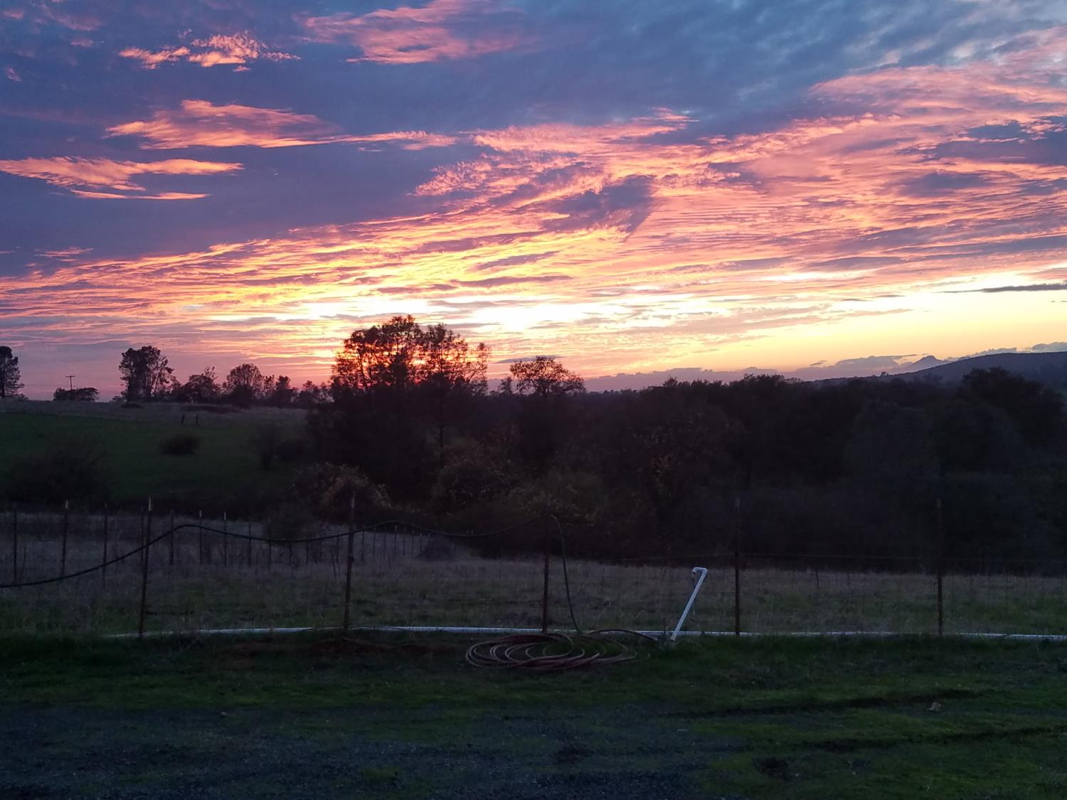 6487 State Highway 20