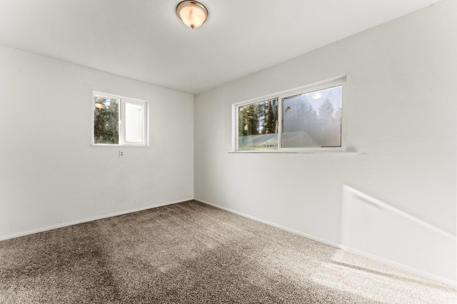 Empty bedroom with beige carpet and two windows overlooking trees.