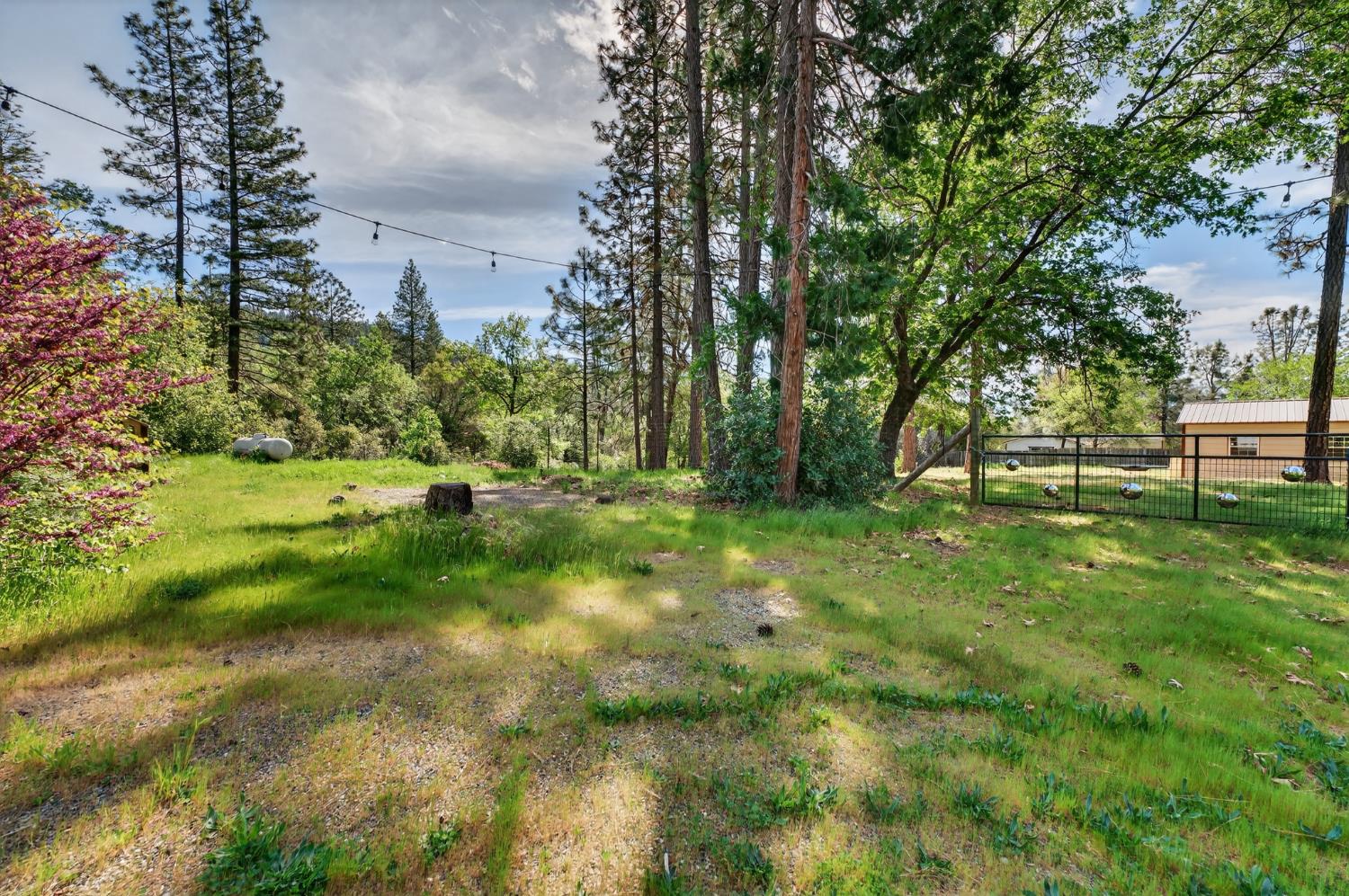 14319 Oregon Peak Road