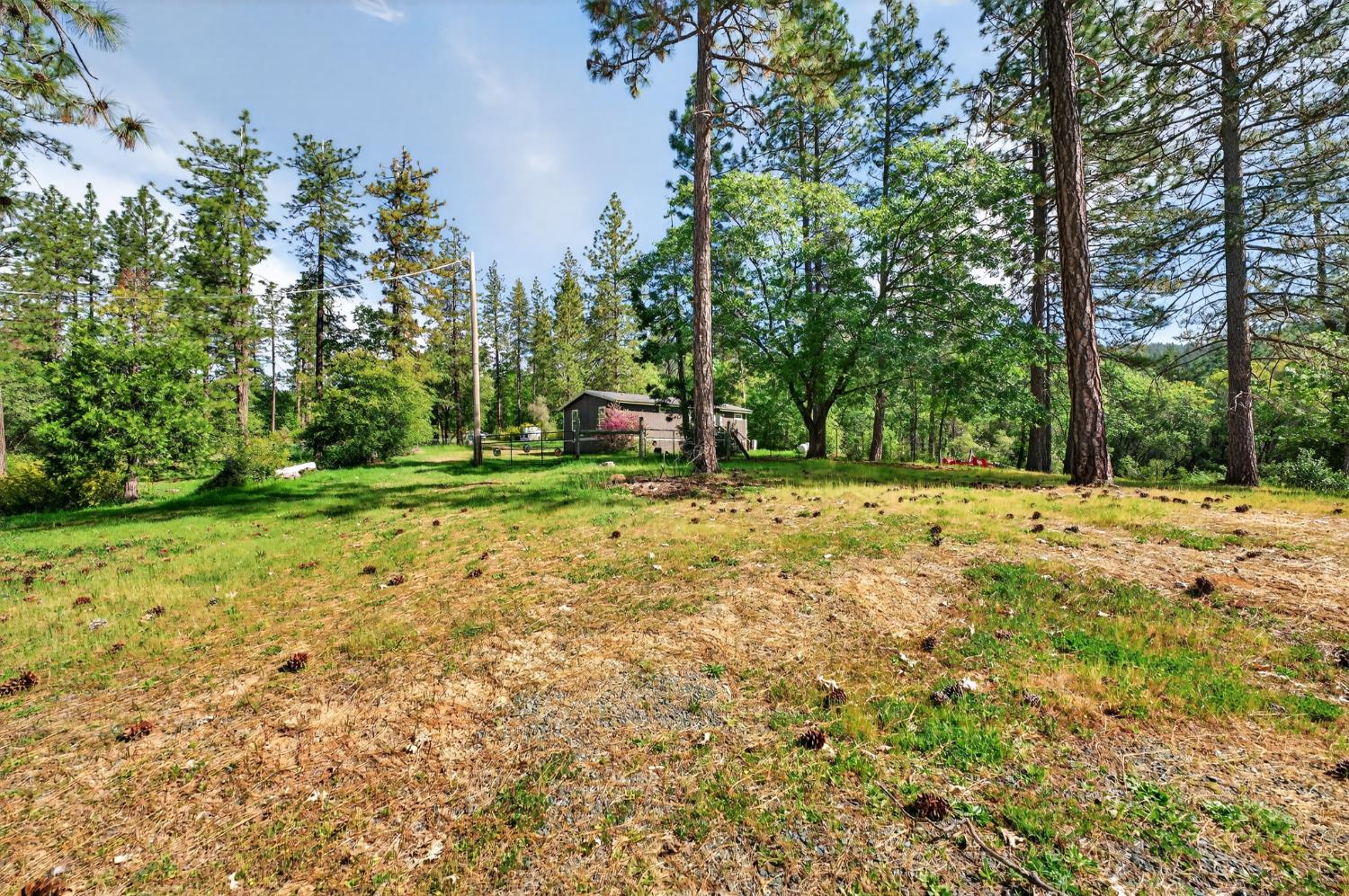 14319 Oregon Peak Road