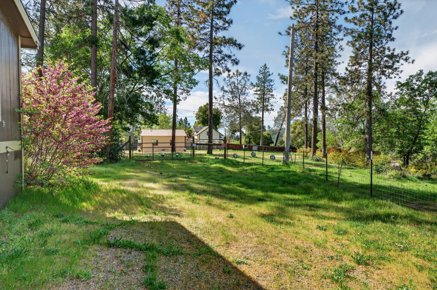 14319 Oregon Peak Road