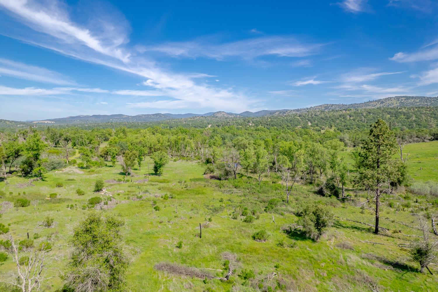 11923 Loma Rica Road