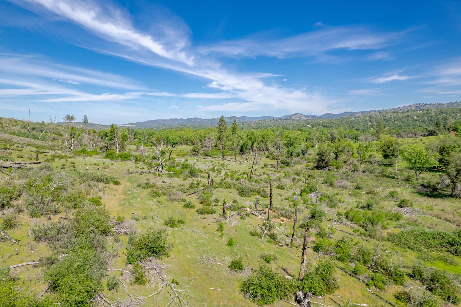 11923 Loma Rica Road