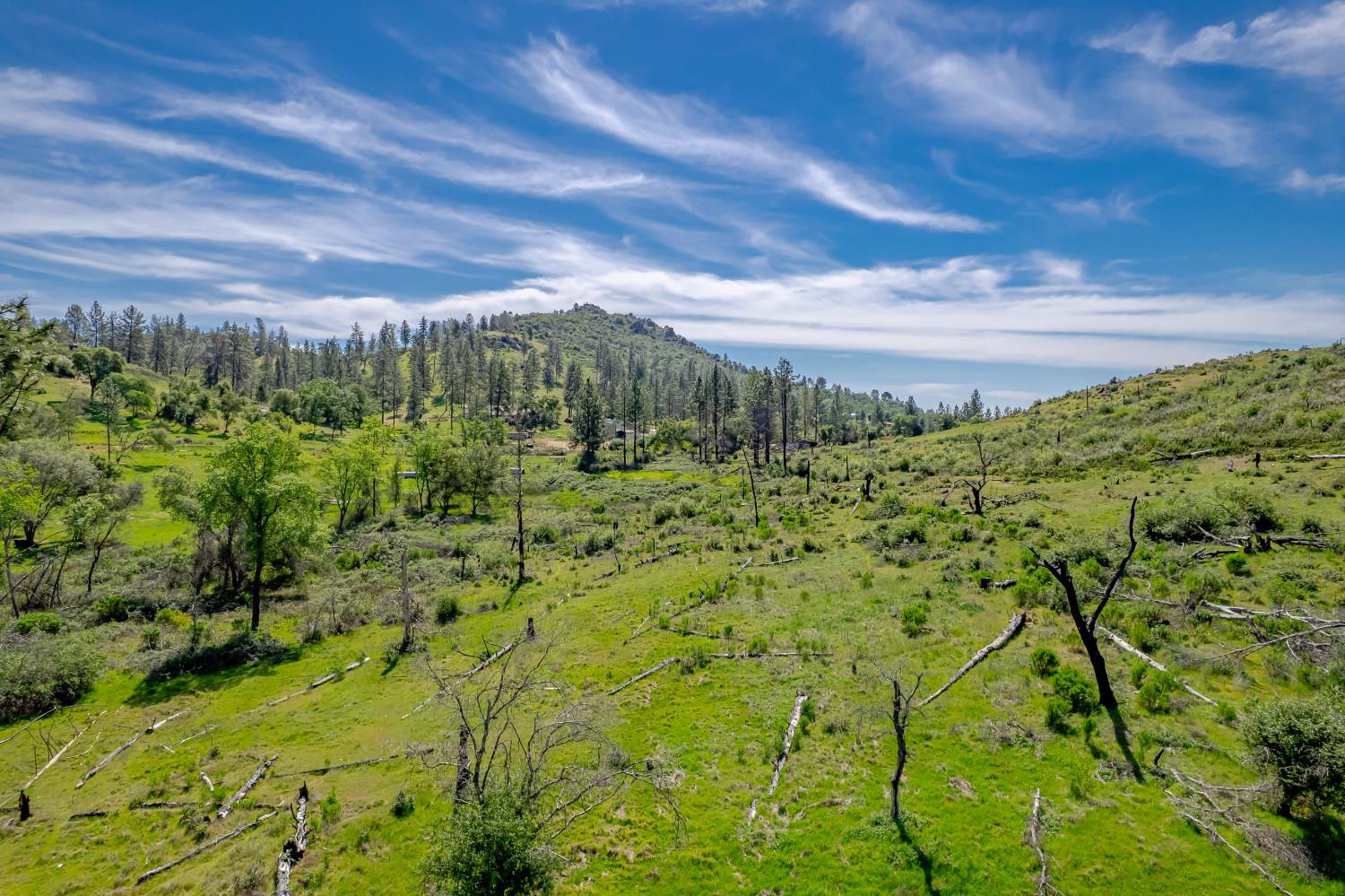 11923 Loma Rica Road