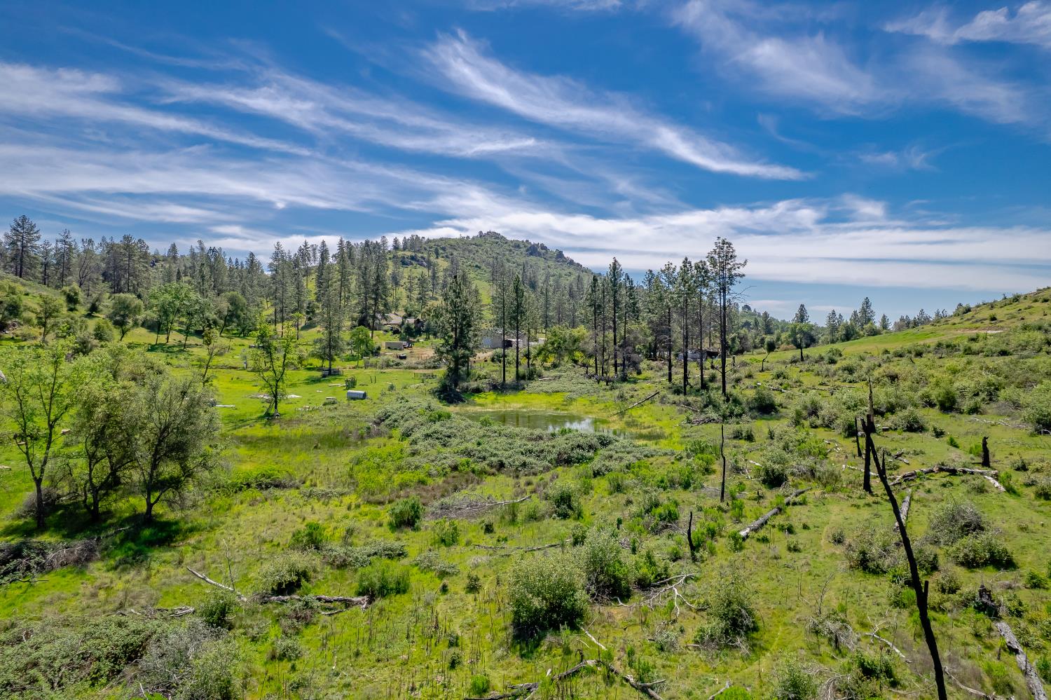 11923 Loma Rica Road