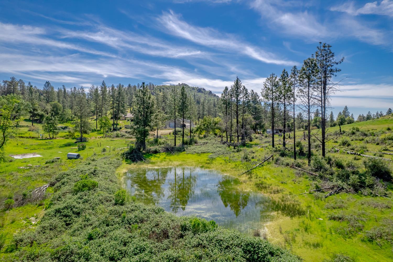 11923 Loma Rica Road