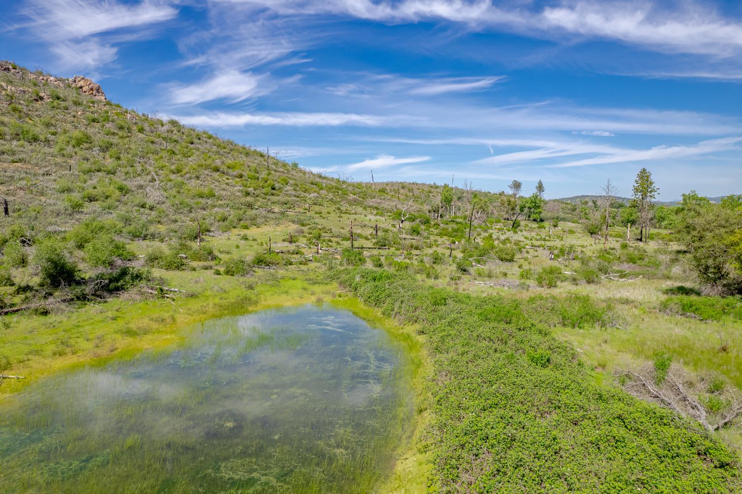 11923 Loma Rica Road