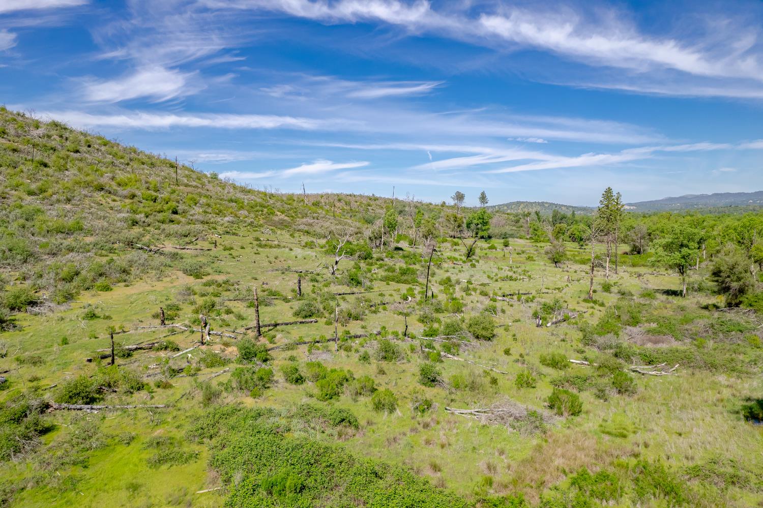 11923 Loma Rica Road