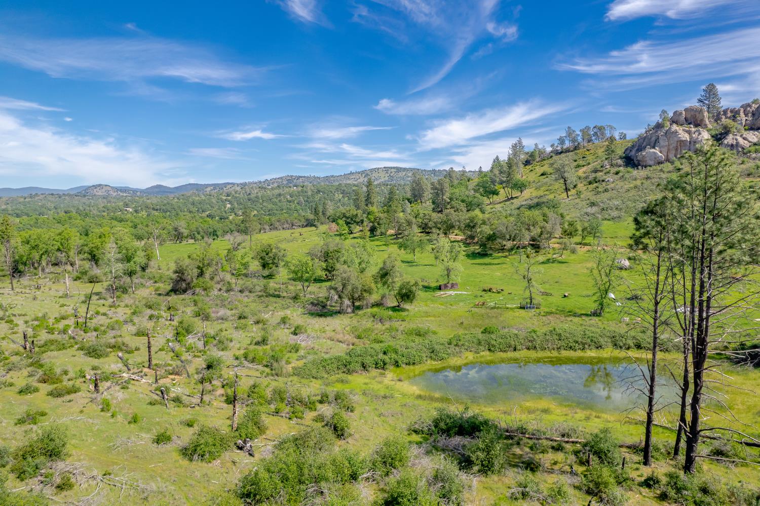 11923 Loma Rica Road