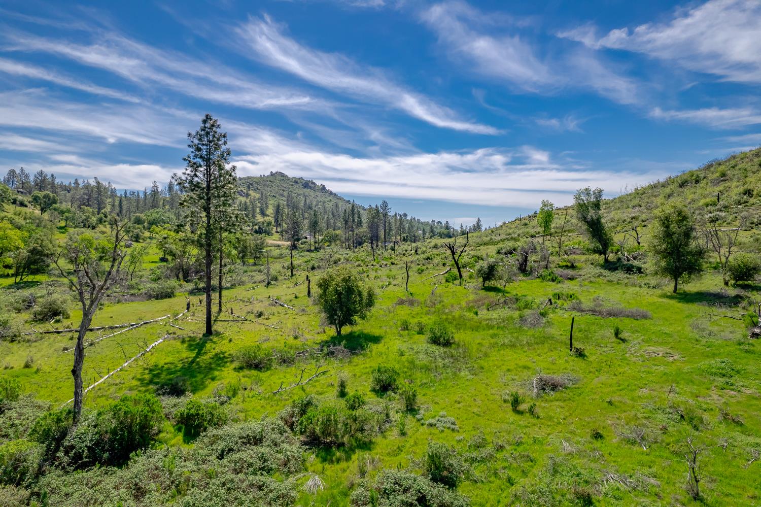 11923 Loma Rica Road