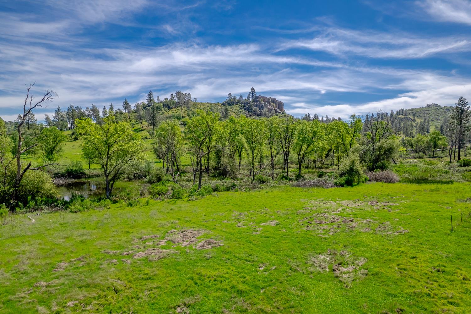 11923 Loma Rica Road