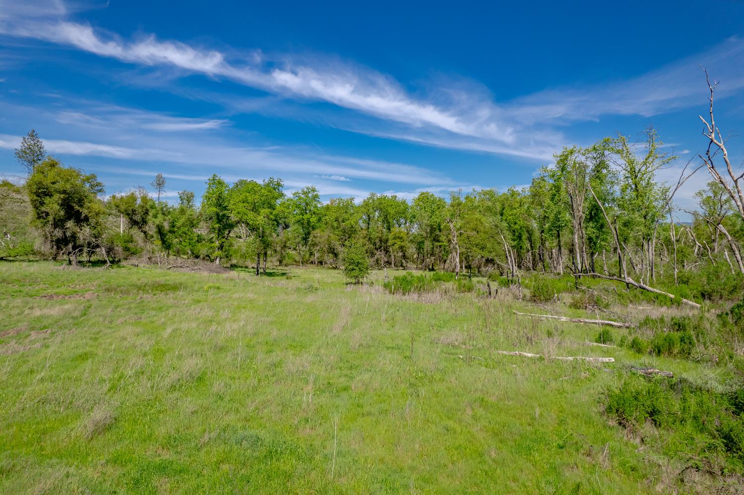 11923 Loma Rica Road