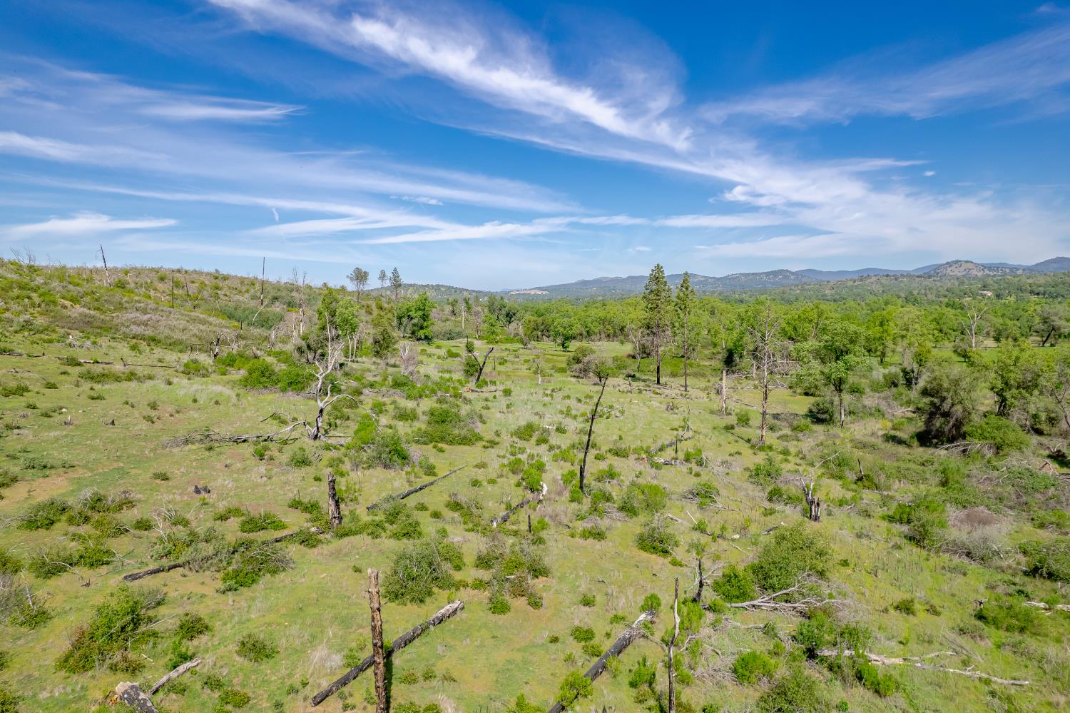 11923 Loma Rica Road