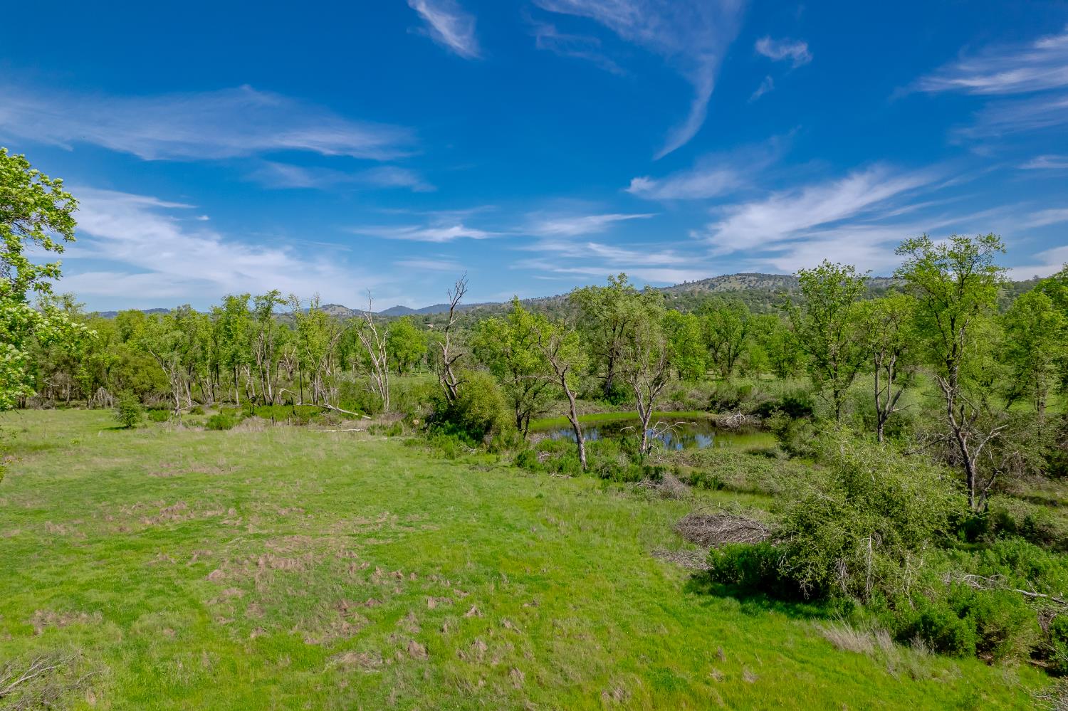 11923 Loma Rica Road